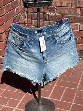 Kut from the Kloth Distressed Medium Blue Denim Cutoff Shorts 14, Jane